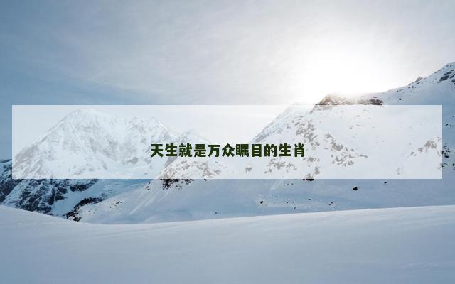 天生就是万众瞩目的生肖