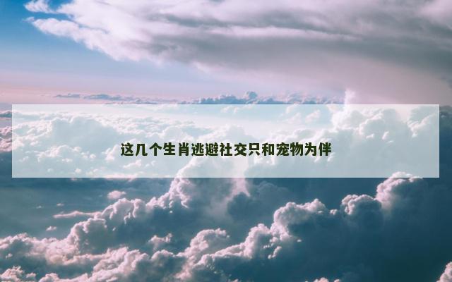 这几个生肖逃避社交只和宠物为伴