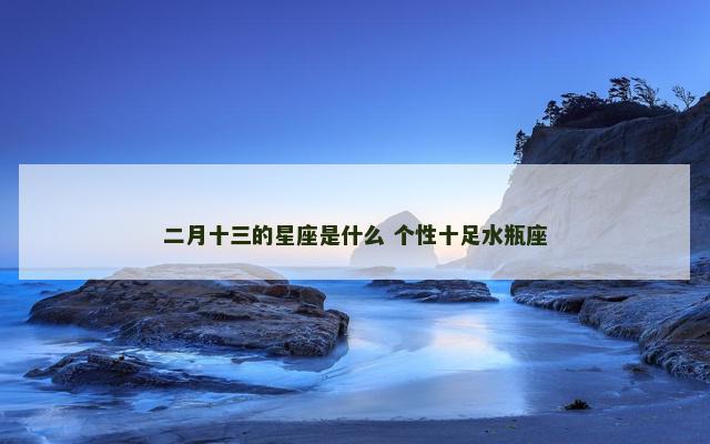 二月十三的星座是什么 个性十足水瓶座