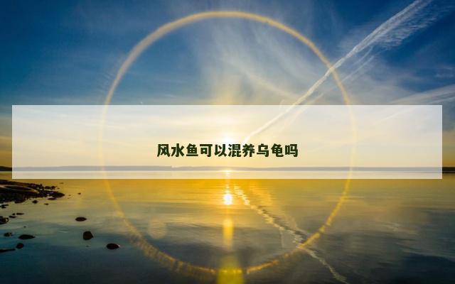 风水鱼可以混养乌龟吗