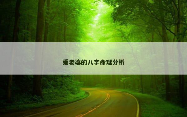 爱老婆的八字命理分析