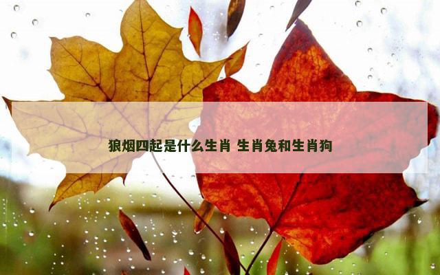 狼烟四起是什么生肖 生肖兔和生肖狗