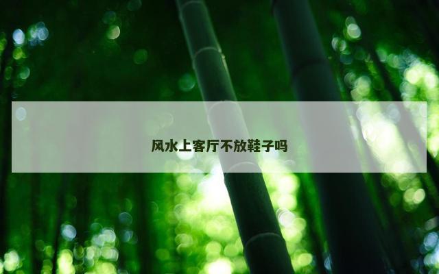 风水上客厅不放鞋子吗