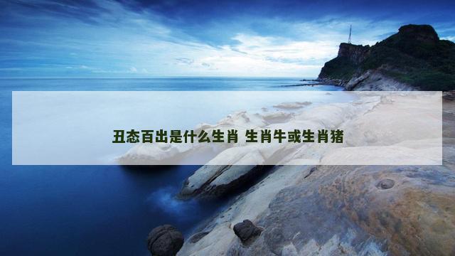 丑态百出是什么生肖 生肖牛或生肖猪