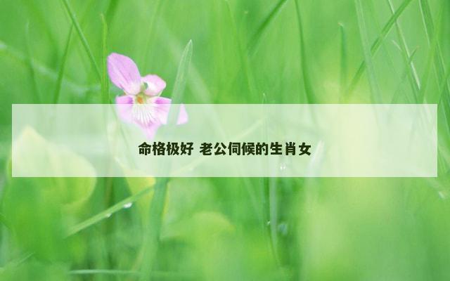 命格极好 老公伺候的生肖女