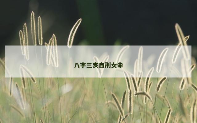 八字三亥自刑女命