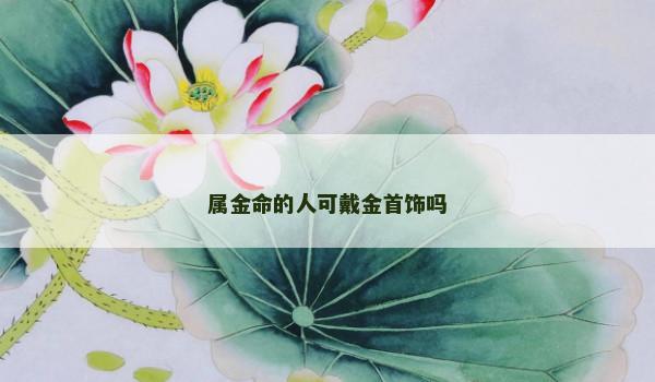 属金命的人可戴金首饰吗