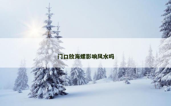 门口放海螺影响风水吗