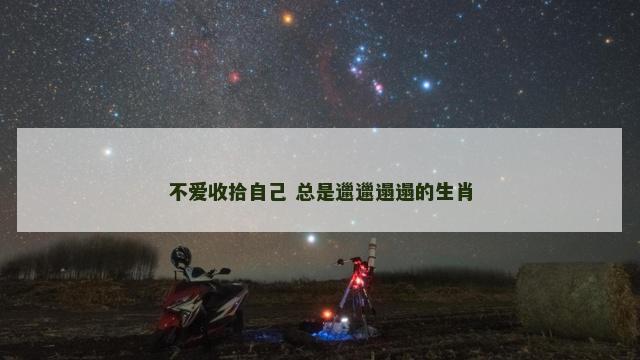 不爱收拾自己 总是邋邋遢遢的生肖