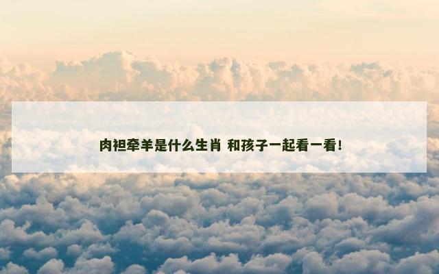 肉袒牵羊是什么生肖 和孩子一起看一看！