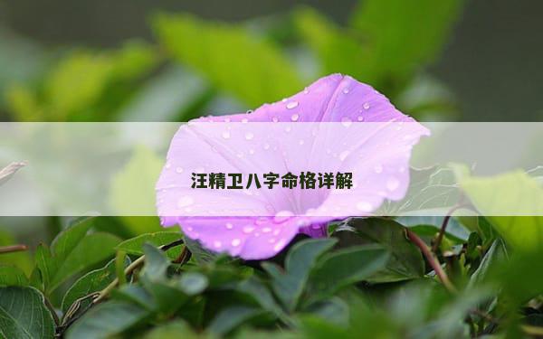 汪精卫八字命格详解