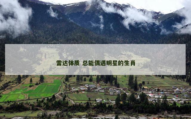 雷达体质 总能偶遇明星的生肖