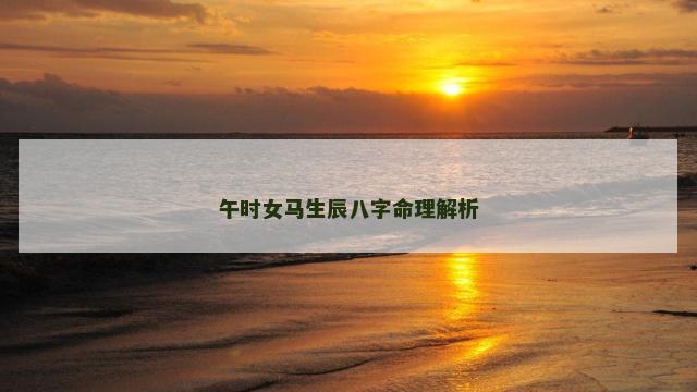 午时女马生辰八字命理解析