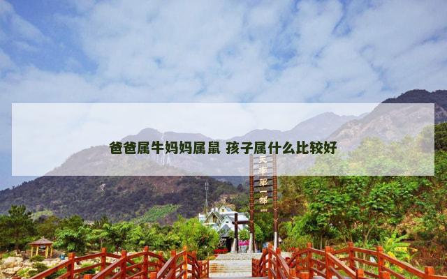 爸爸属牛妈妈属鼠 孩子属什么比较好