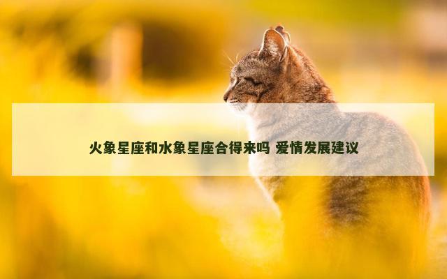 火象星座和水象星座合得来吗 爱情发展建议