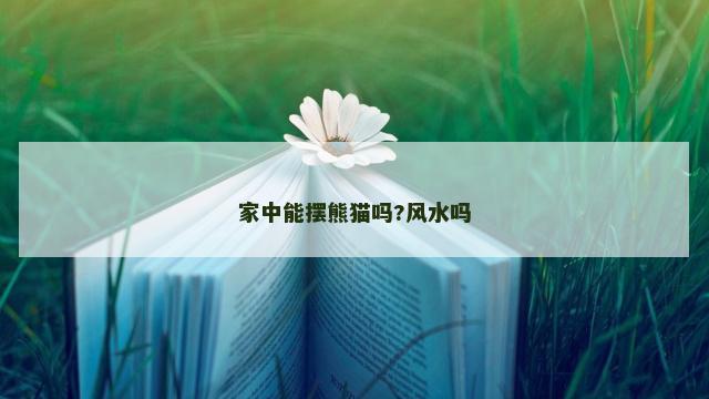 家中能摆熊猫吗?风水吗