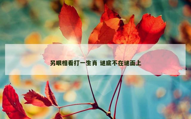 另眼相看打一生肖 谜底不在谜面上
