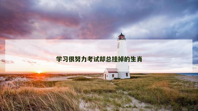 学习很努力考试却总挂掉的生肖