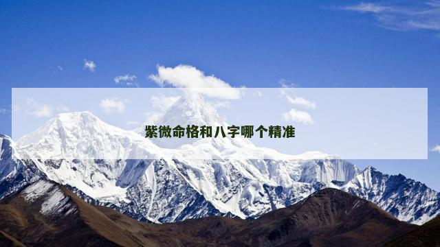 紫微命格和八字哪个精准