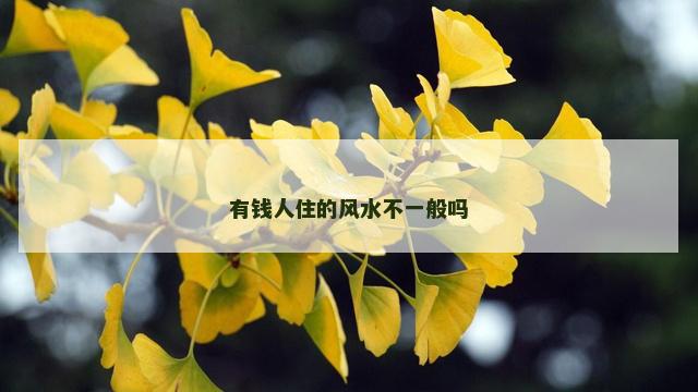 有钱人住的风水不一般吗