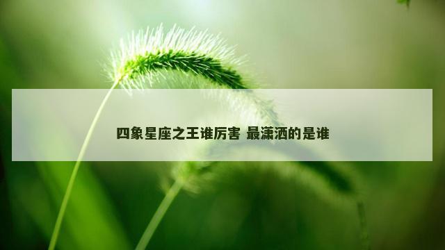 四象星座之王谁厉害 最潇洒的是谁