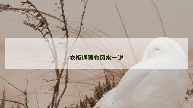 衣柜通顶有风水一说