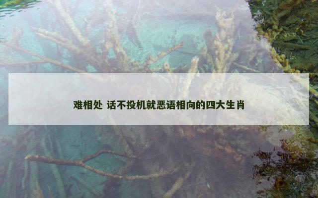 难相处 话不投机就恶语相向的四大生肖