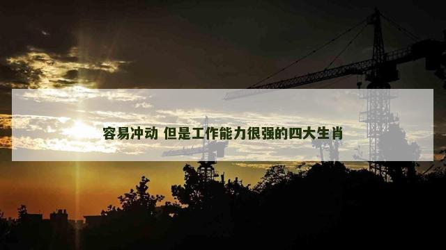 容易冲动 但是工作能力很强的四大生肖