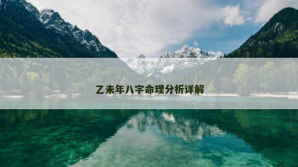 乙未年八字命理分析详解