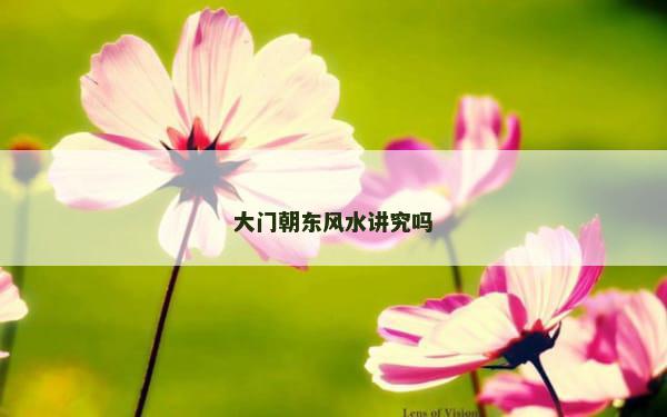 大门朝东风水讲究吗