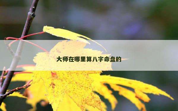 大师在哪里算八字命盘的