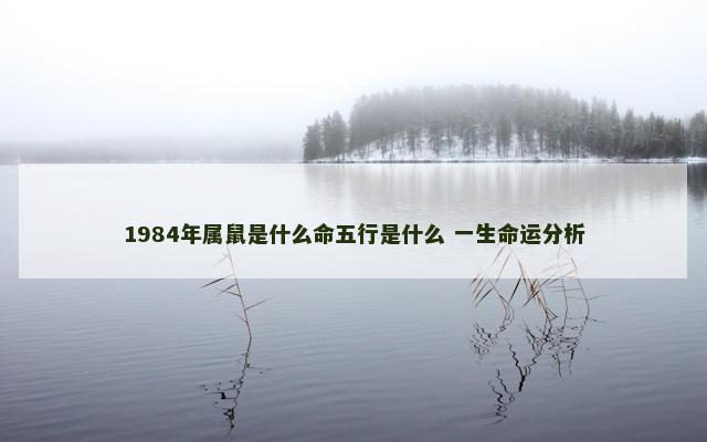 1984年属鼠是什么命五行是什么 一生命运分析