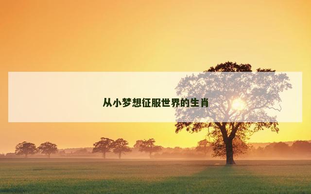 从小梦想征服世界的生肖