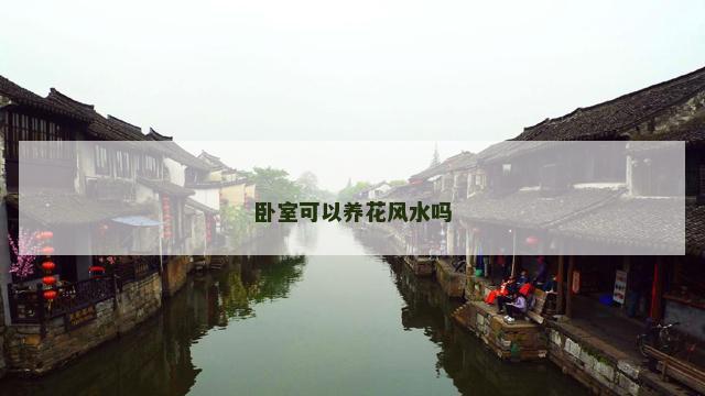 卧室可以养花风水吗