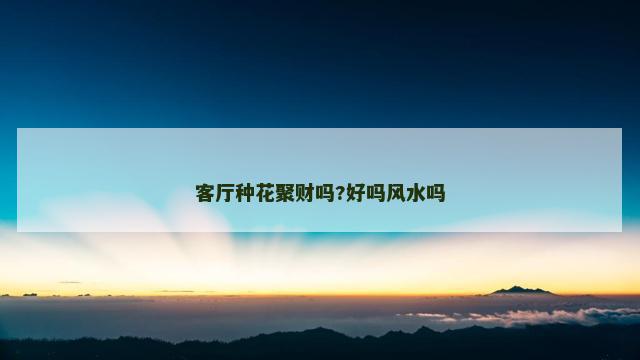 客厅种花聚财吗?好吗风水吗