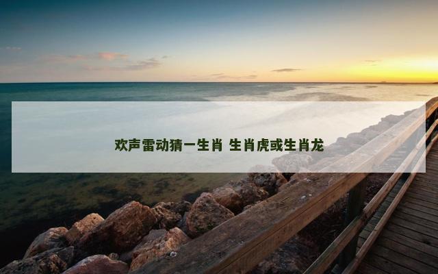 欢声雷动猜一生肖 生肖虎或生肖龙