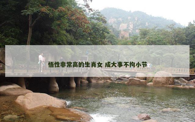 悟性非常高的生肖女 成大事不拘小节