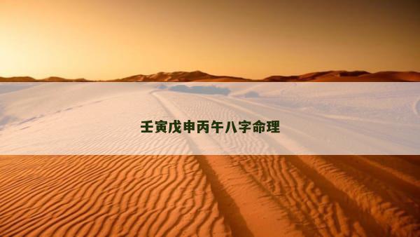 壬寅戊申丙午八字命理