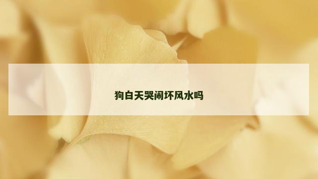 狗白天哭闹坏风水吗