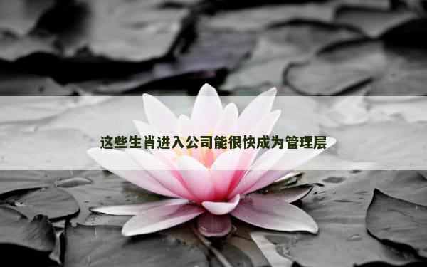 这些生肖进入公司能很快成为管理层