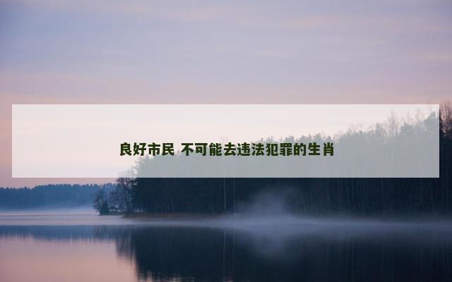 良好市民 不可能去违法犯罪的生肖