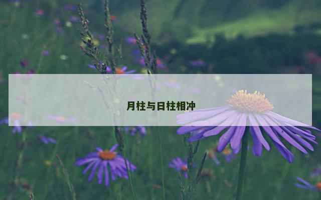 月柱与日柱相冲