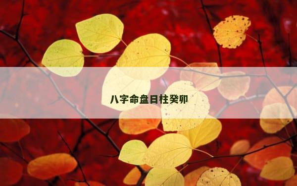 八字命盘日柱癸卯