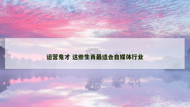 运营鬼才 这些生肖最适合自媒体行业