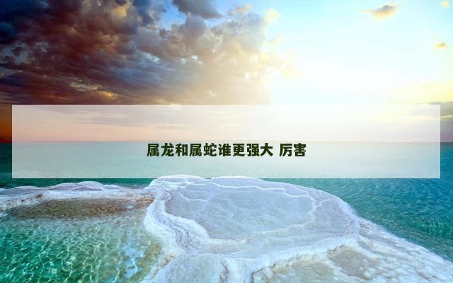 属龙和属蛇谁更强大 厉害