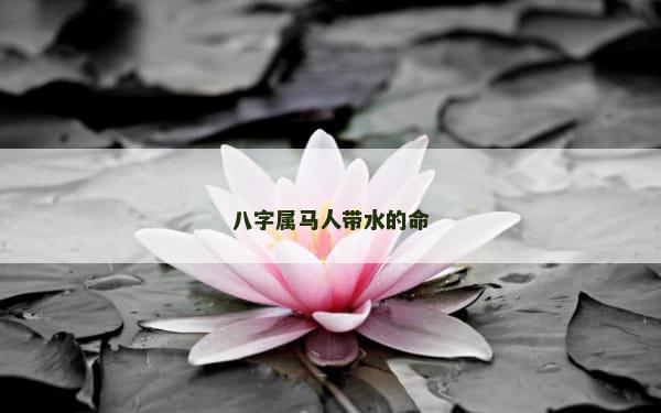 八字属马人带水的命