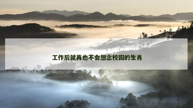 工作后就再也不会想念校园的生肖