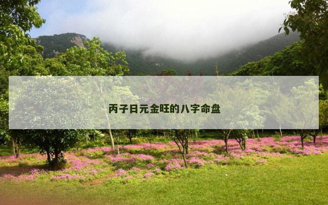 丙子日元金旺的八字命盘
