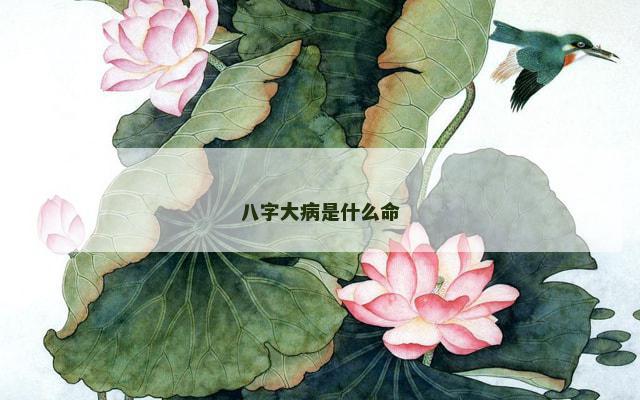 八字大病是什么命