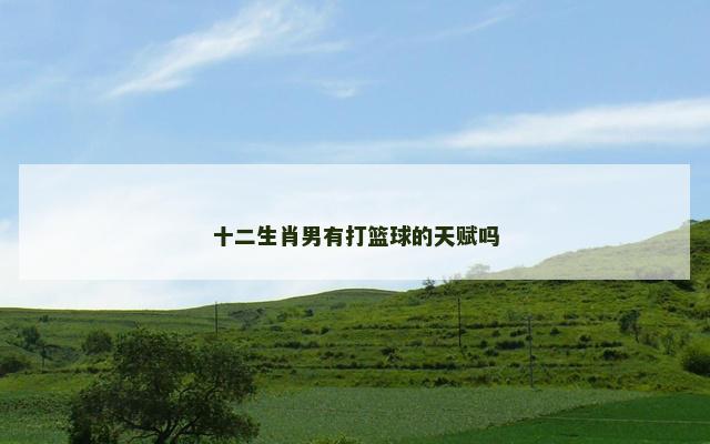 十二生肖男有打篮球的天赋吗